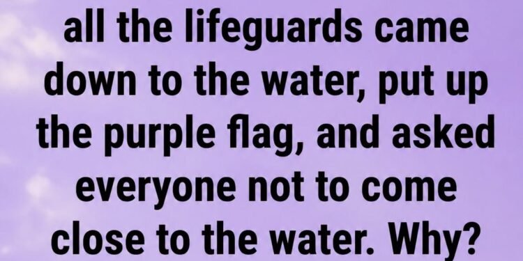 DANGER IN THE WATER WHY THAT PURPLE FLAG AT THE BEACH COULD SAVE YOUR LIFE