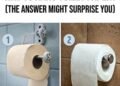 Which Way Is the Correct Way to Hang Toilet Paper? (The Answer Might Surprise You)