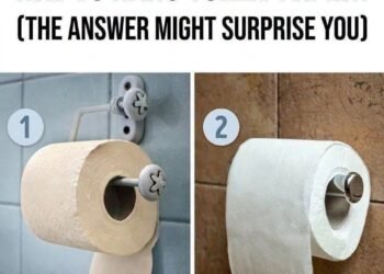 Which Way Is the Correct Way to Hang Toilet Paper? (The Answer Might Surprise You)