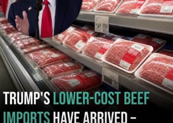 Trump’s lower-cost beef imports have arrived – here’s how to know if you’re purchasing US meat