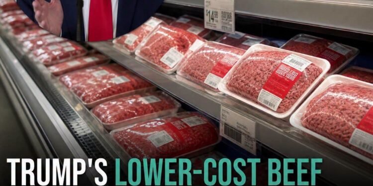 Trump’s lower-cost beef imports have arrived – here’s how to know if you’re purchasing US meat
