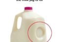 The Hidden Purpose Behind That Little Dent on Your Milk Jug — And Why It Matters More Than You Think