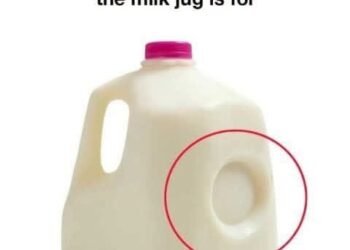 The Hidden Purpose Behind That Little Dent on Your Milk Jug — And Why It Matters More Than You Think