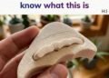 “Marry the girl who doesn’t know what this is” is a humorous, ironic phrase often used online to spark curiosity or playful debate. It plays on mystery and assumptions, encouraging people to question context rather than take statements at face value.