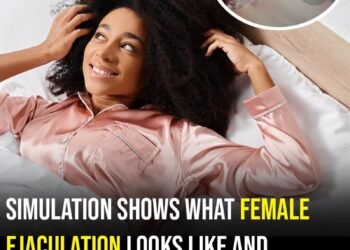Simulation shows what female ejaculation looks like and reveals the truth about what is in the fluid