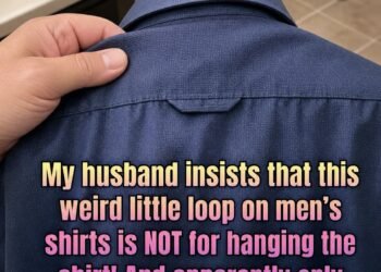 Why Button-Down Shirts Have Loops On the Back