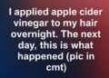 Apple Cider Vinegar Hair Experiment Reveals Overnight Transformation With Softer Shinier Strands Reduced Dandruff Balanced Scalp pH Less Itching Improved Texture Natural Frizz Control Cleaner Feel And Gentle Detox Without Harsh Chemicals Making It A Simple Affordable Beauty Routine Worth Trying At Home For Healthier Hair