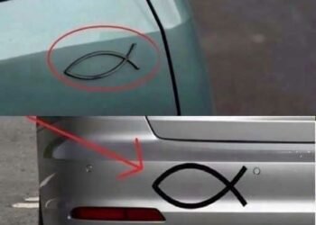 What Does the Small Fish-Shaped Symbol on the Back of Some Cars Mean?