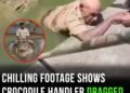 Chilling footage shows crocodile handler dragged underwater at park in fatal attack