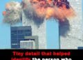 Toggle menu Newsner English  EN Edition Newsner English Tiny detail that helped identify the person who became known as ‘Falling Man’ in bone-chilling 9/11 photo Tiny detail that helped identify the person who became known as ‘Falling Man’ in bone-chilling 9/11 photo