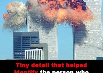 Toggle menu Newsner English  EN Edition Newsner English Tiny detail that helped identify the person who became known as ‘Falling Man’ in bone-chilling 9/11 photo Tiny detail that helped identify the person who became known as ‘Falling Man’ in bone-chilling 9/11 photo
