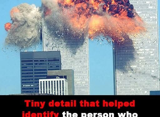 Toggle menu Newsner English EN Edition Newsner English Tiny detail that helped identify the person who became known as ‘Falling Man’ in bone-chilling 9/11 photo Tiny detail that helped identify the person who became known as ‘Falling Man’ in bone-chilling 9/11 photo