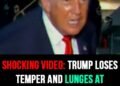 Trump loses temper and lunges at female journalist asking about $5,000 checks