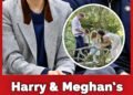 Harry & Meghan ruthlessly slammed as they pull Archie and Lilibet from school after just 2 days