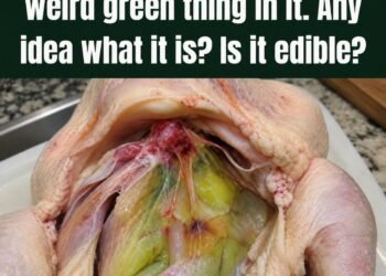 Green Meat in Chicken? Here’s What’s Really Going On