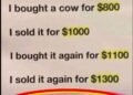 Cow math puzzle: Are you smart enough to solve it?
