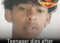 Boy, 14, dies after injecting himself with butterfly in viral online challenge