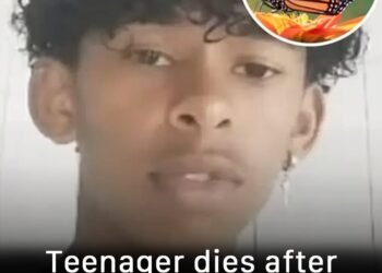 Boy, 14, dies after injecting himself with butterfly in viral online challenge