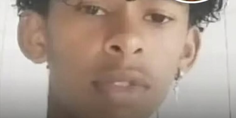 Boy, 14, dies after injecting himself with butterfly in viral online challenge