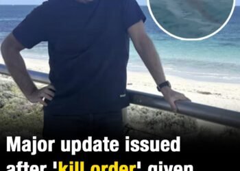 Significant update issued after ‘kill order’ given for shark that killed man in “scene from Jaws”