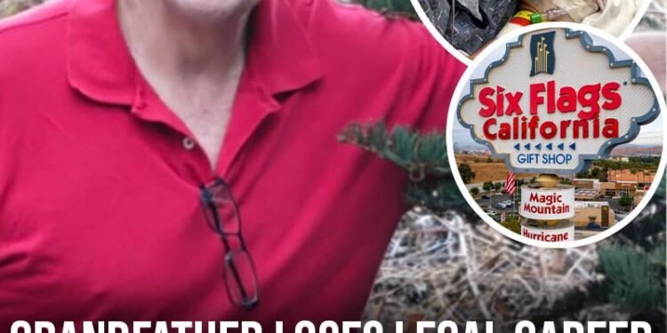 Grandfather loses legal career after Six Flags roller coaster leaves him with serious neurological damage