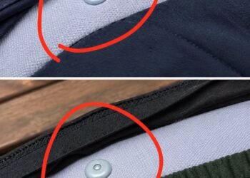 The Hidden Hero of Your Seat Belt: What Is That Little Round Button — And Why It’s Essential
