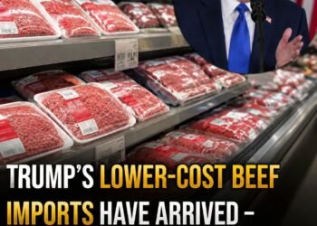 Trump’s lower-cost beef imports have arrived – here’s how to know if you’re purchasing US meat