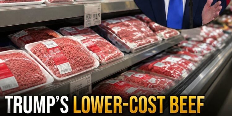 Trump’s lower-cost beef imports have arrived – here’s how to know if you’re purchasing US meat