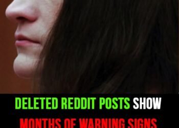 Deleted Reddit posts show months of warning signs before Lindsay Clancy’s children died
