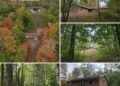 40-Acre Michigan Property Borders County Forest Land and Includes a Cabin and Pond