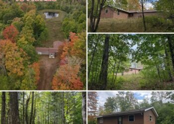 40-Acre Michigan Property Borders County Forest Land and Includes a Cabin and Pond