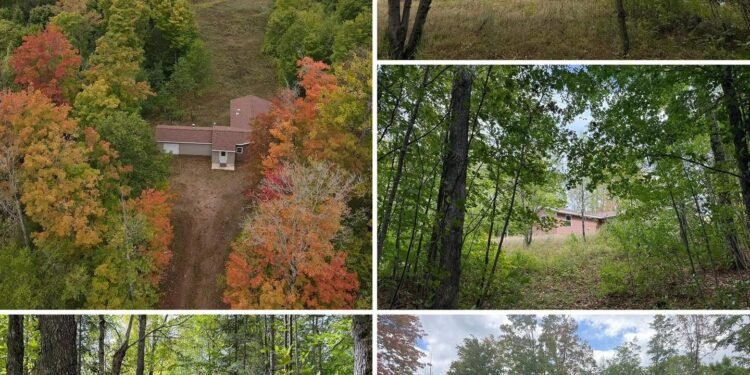 40-Acre Michigan Property Borders County Forest Land and Includes a Cabin and Pond