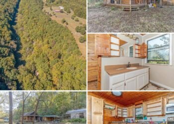 Mountain View, Arkansas Property Offers 3 Bedrooms, Nearly 11 Acres, and Renovation Potential