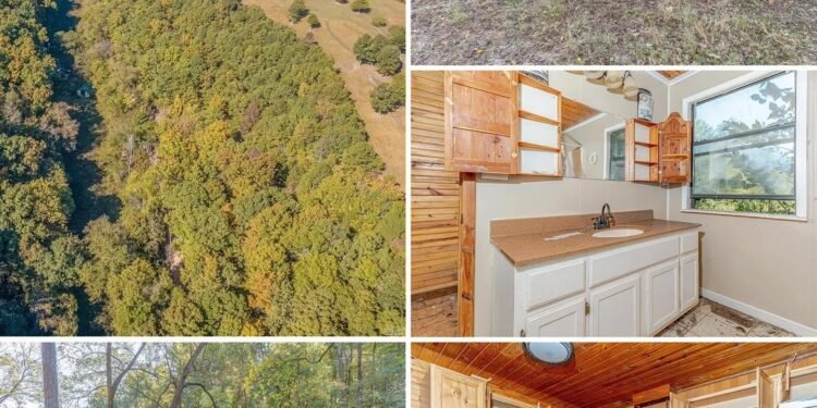 Mountain View, Arkansas Property Offers 3 Bedrooms, Nearly 11 Acres, and Renovation Potential