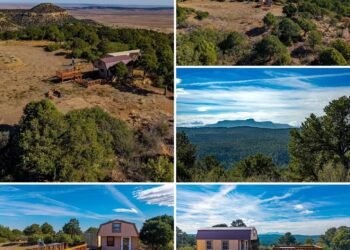 Colorado Mountain Property Offers 40 Acres, Dry Cabin, Storage Container, and Electric Service