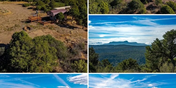 Colorado Mountain Property Offers 40 Acres, Dry Cabin, Storage Container, and Electric Service