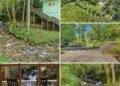 Rustic Mountain Cabin With Private Waterfall and 10 Wooded Acres in North Carolina