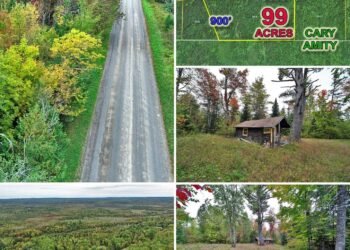 Remote Maine Woodland Property With Tiny Log Cabin, Alder Brook Frontage, and 3,095 Feet of Road Frontage
