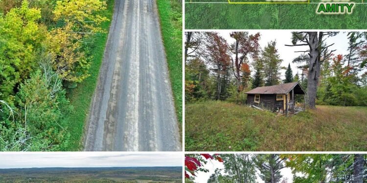 Remote Maine Woodland Property With Tiny Log Cabin, Alder Brook Frontage, and 3,095 Feet of Road Frontage