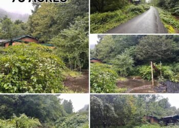 73 Surveyed Acres in Kentucky With Public Water, Sewer, and an Old House to Remove