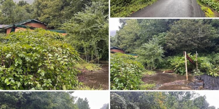 73 Surveyed Acres in Kentucky With Public Water, Sewer, and an Old House to Remove