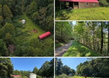 West Virginia Mountain Property With 42 Acres, Rustic Cabin, Gated Access, and Stream Frontage