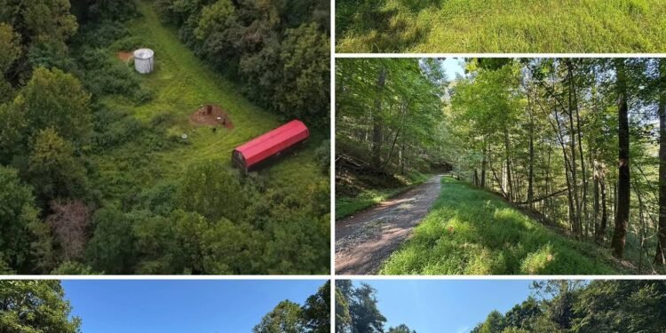 West Virginia Mountain Property With 42 Acres, Rustic Cabin, Gated Access, and Stream Frontage