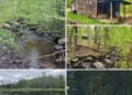 Adirondack Wilderness Property: 133.6 Wooded Acres, Rustic Cabin, Trails, and a Beaver Pond