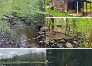 Adirondack Wilderness Property: 133.6 Wooded Acres, Rustic Cabin, Trails, and a Beaver Pond