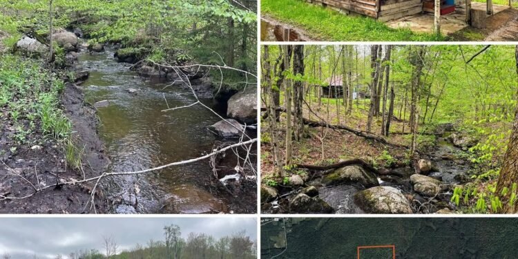 Adirondack Wilderness Property: 133.6 Wooded Acres, Rustic Cabin, Trails, and a Beaver Pond