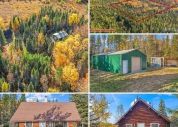 Rustic 770-Square-Foot Cabin on 40 Wooded Acres in Felch, Michigan