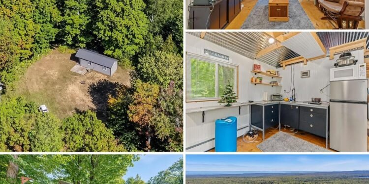 Newer 384-Square-Foot Cabin on 10 Acres in Michigan’s Upper Peninsula