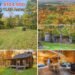 $104,900 Cabin in Cuba, NY, with a Wood Stove, Loft, and 11.35 Acres