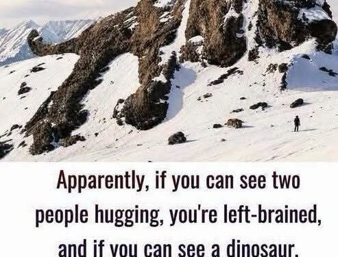 The ultimate visual brain-scan test: left-brained, right-brained ?